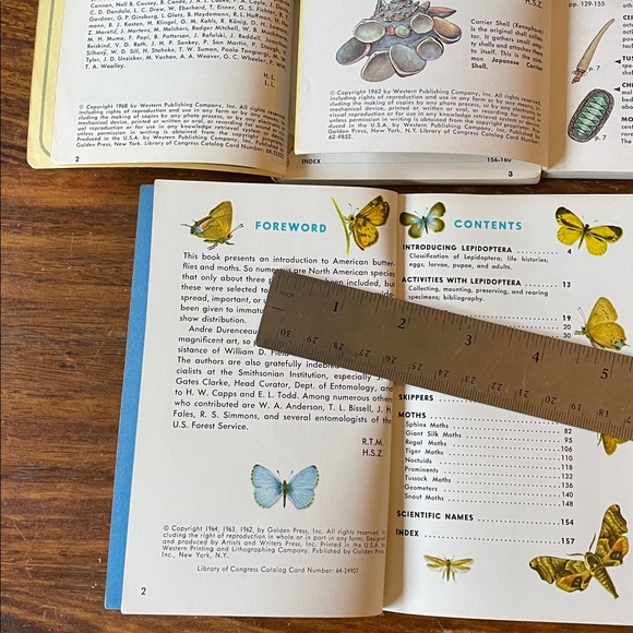 13 GOLDEN GUIDE Vintage Reference Books: Shells Fossils Spiders Trees Rocks MORE - Picture 12 of 15